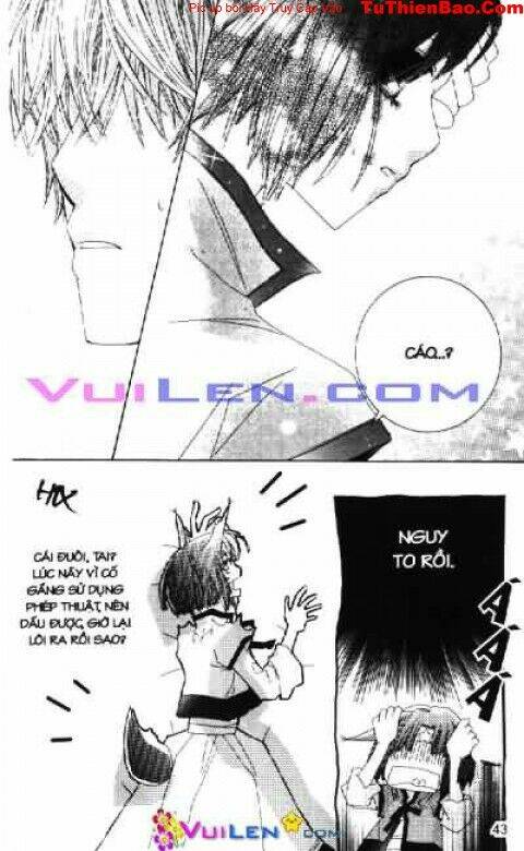 cáo nhỏ đáng yêu chapter 2 43