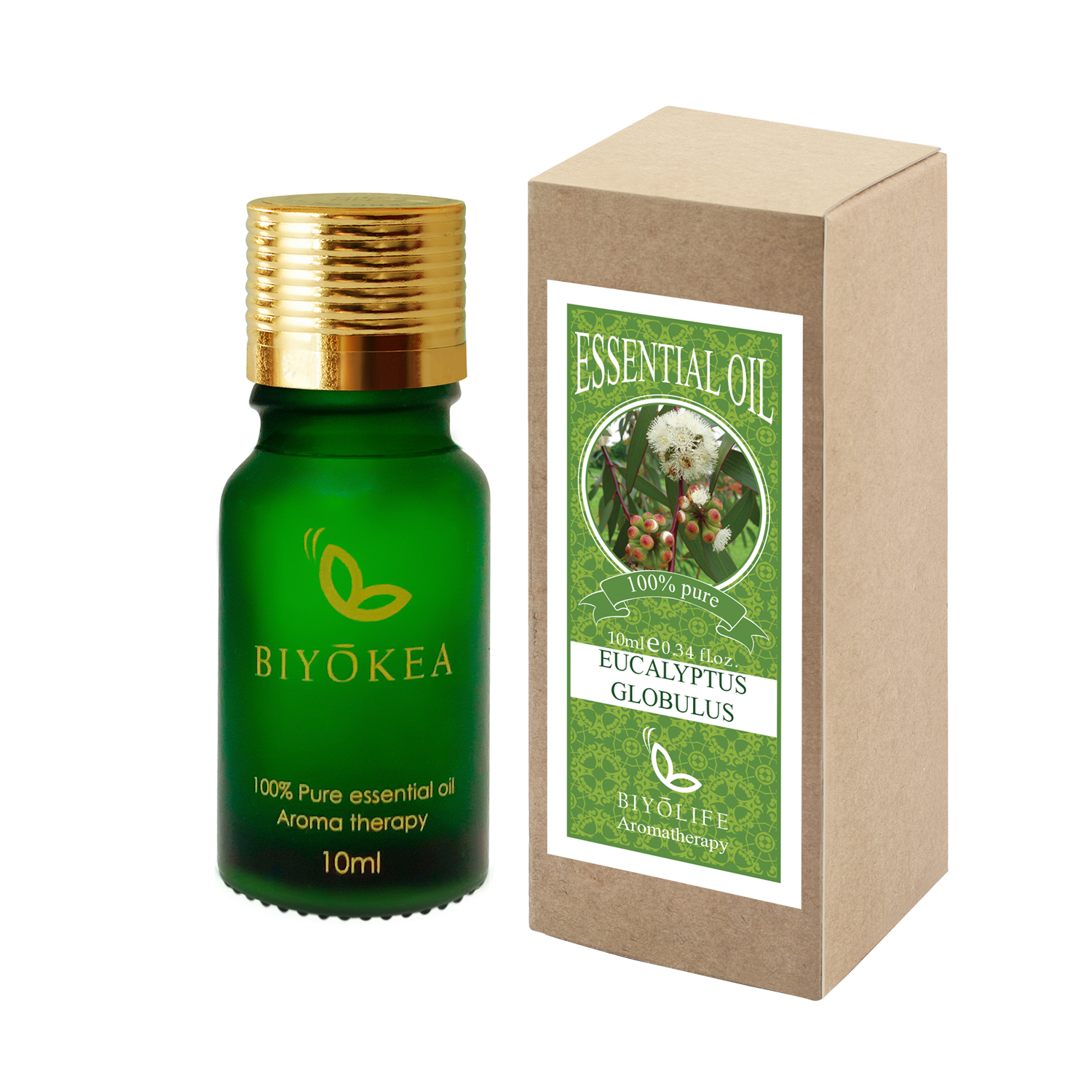 Tinh Dầu Khuynh Diệp Biyokea