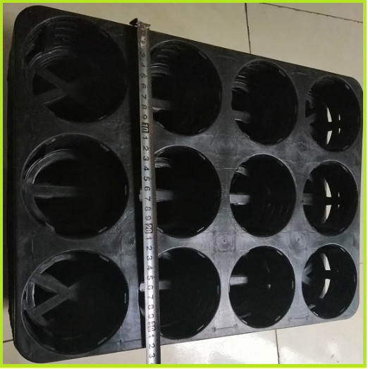 COMBO 2KHAY NHỰA CỨNG 12 LỖ + 24 CHẬU NHỰA FI 10CM TRỒNG RAU ƯƠM MẦM