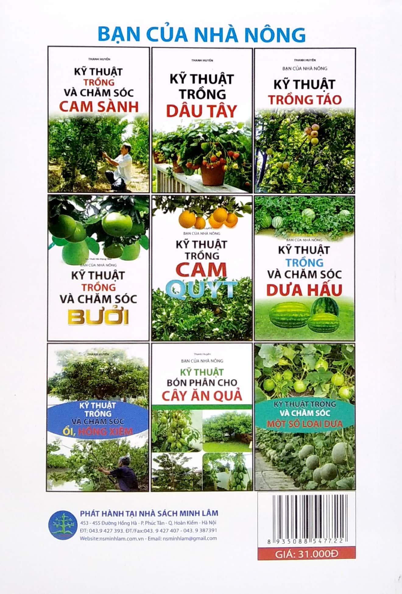 Kỹ Thuật Trồng Và Chăm Sóc Hoa Hồng