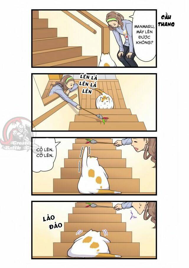 cat is silver vine chapter 3 5