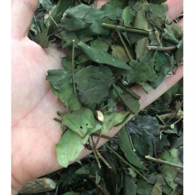 Chè vằng khô