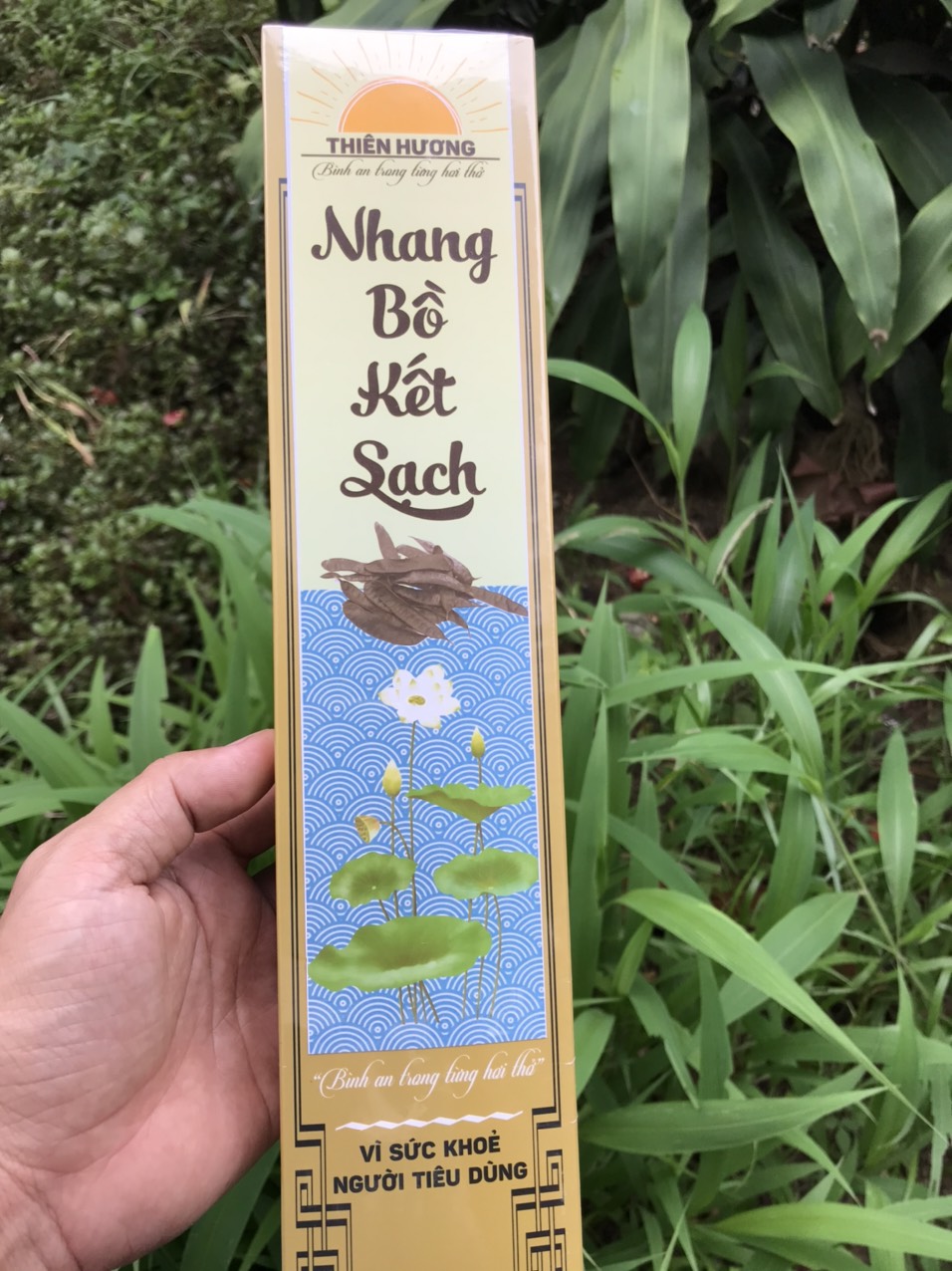 Hộp 100 cây nhang Bồ Kết nhang sạch 100% tự nhiên hương thơm không hóa chất, xông nhà đuổi muỗi