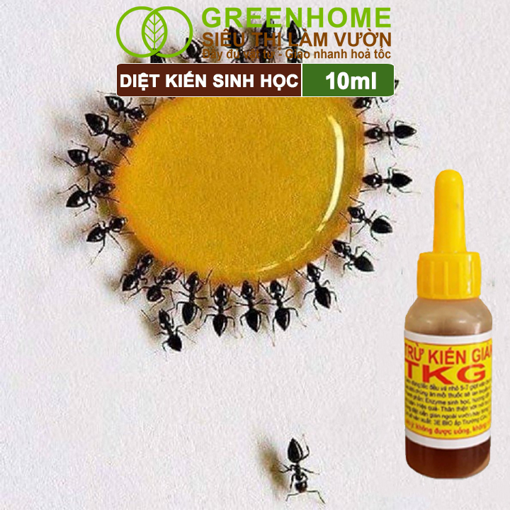 Chế Phẩm Diệt Kiến Greenhome, TKG Bio, Chai 10ml, Thành Phần Tự Nhiên,Diệt Tận Gốc Kiến Hôi,Kiến Lửa