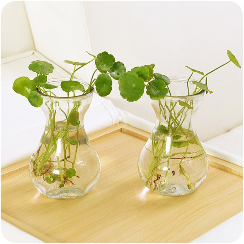 Lọ hoa thủy tinh mini, bình hoa thủy tinh trồng cây thủy sinh cao 13,8cm