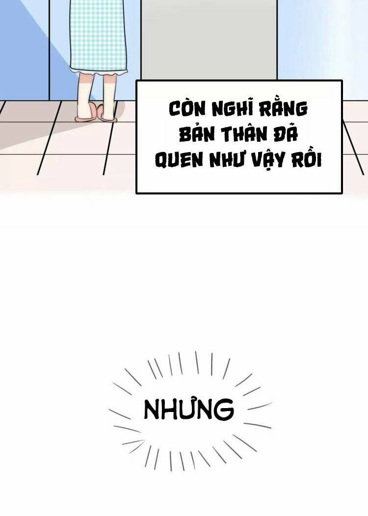 tiểu miêu và hắc diệu thạch chapter 11 33