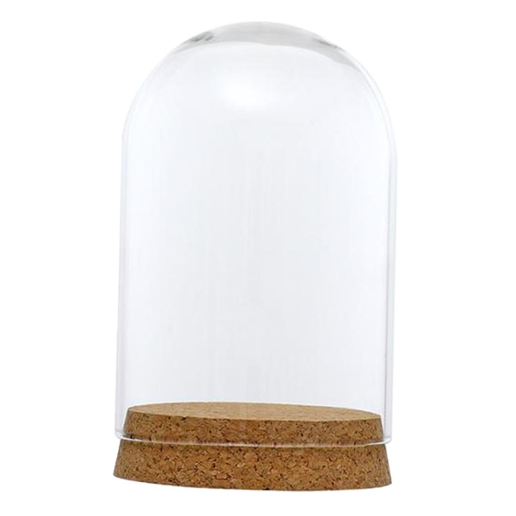 3xGlass Cover Landscape Terrarium Container Lid Vase Bottle 8x12cm