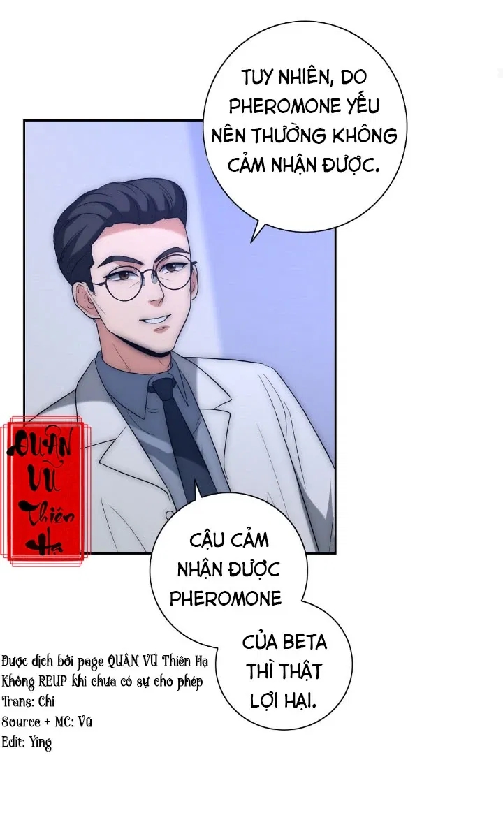 bí mật của omega k chapter 10 11