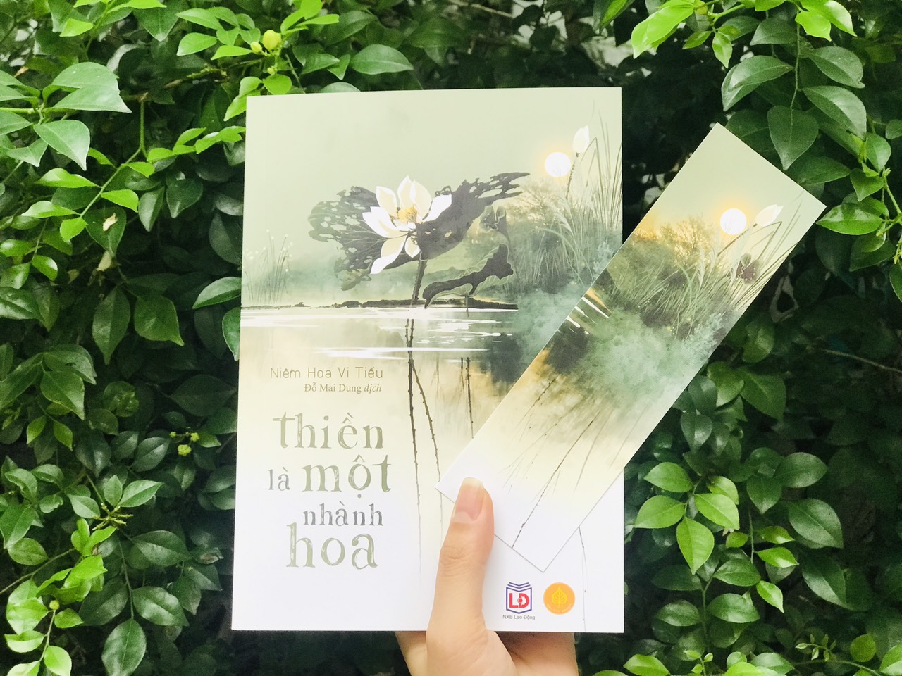 Sách Thiền là một nhành hoa