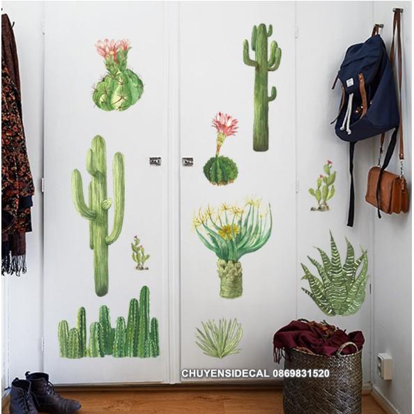 Decal trang trí tường - Xương Rồng Nhiều mẫu khác nhau