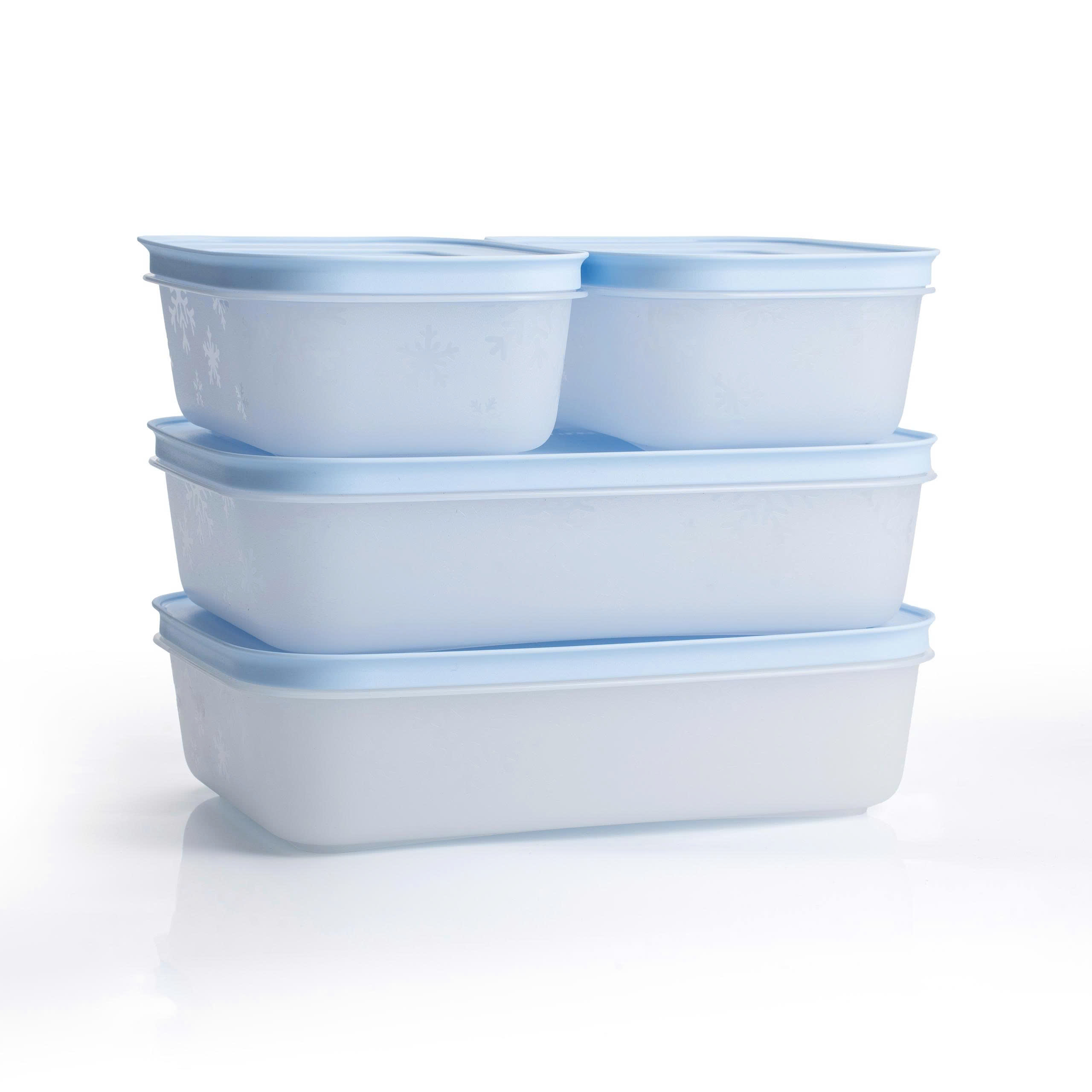 Bộ 4 hộp đựng thực phẩm Tupperware trữ đông Gen II 450ml và 1L