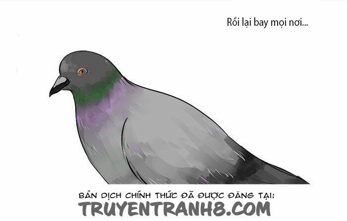 average adventures of an average girl chapter 4 4