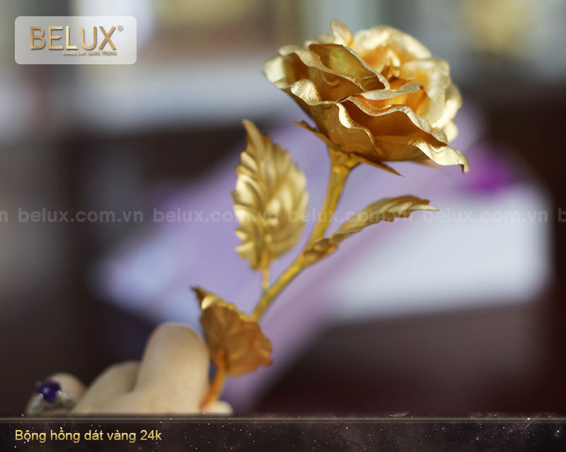 Bông hồng dát vàng 24k - quà tặng cho phái đẹp