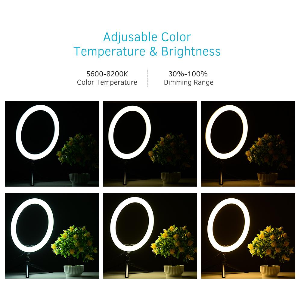 Đèn LED vòng video 30cm / 12 inch 5600-8200K 3 màu với giá đỡ kẹp điện thoại để phát trực tiếp video