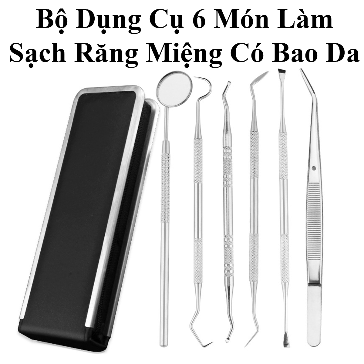 Bộ Dụng Cụ 6 Món Làm Sạch Răng Miệng Thép Không Rỉ Có Bao Da Đựng Sang Trọng