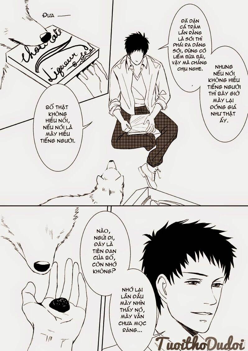 sự mê hoặc của sói chapter 9 8