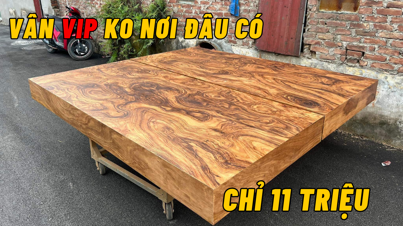 Chiếu ngựa gỗ cẩm vàng nam phi