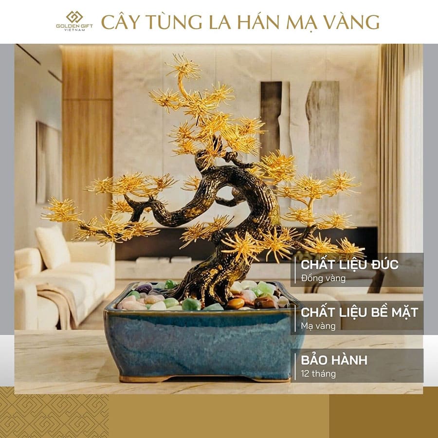Cây Tùng La Hán mạ vàng