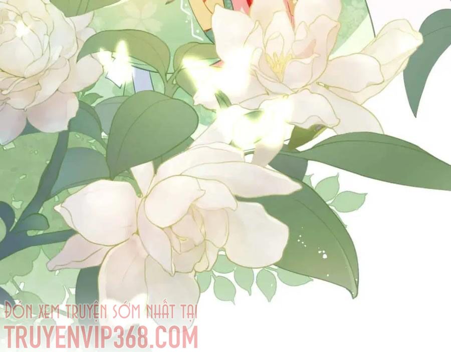 nhặt được bảo bối manh manh chapter 6 54