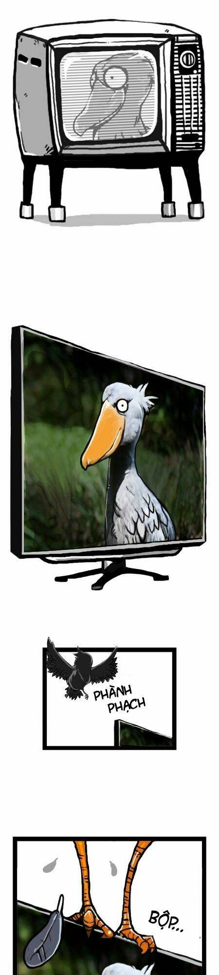 earth, human, and animal chapter 14 4