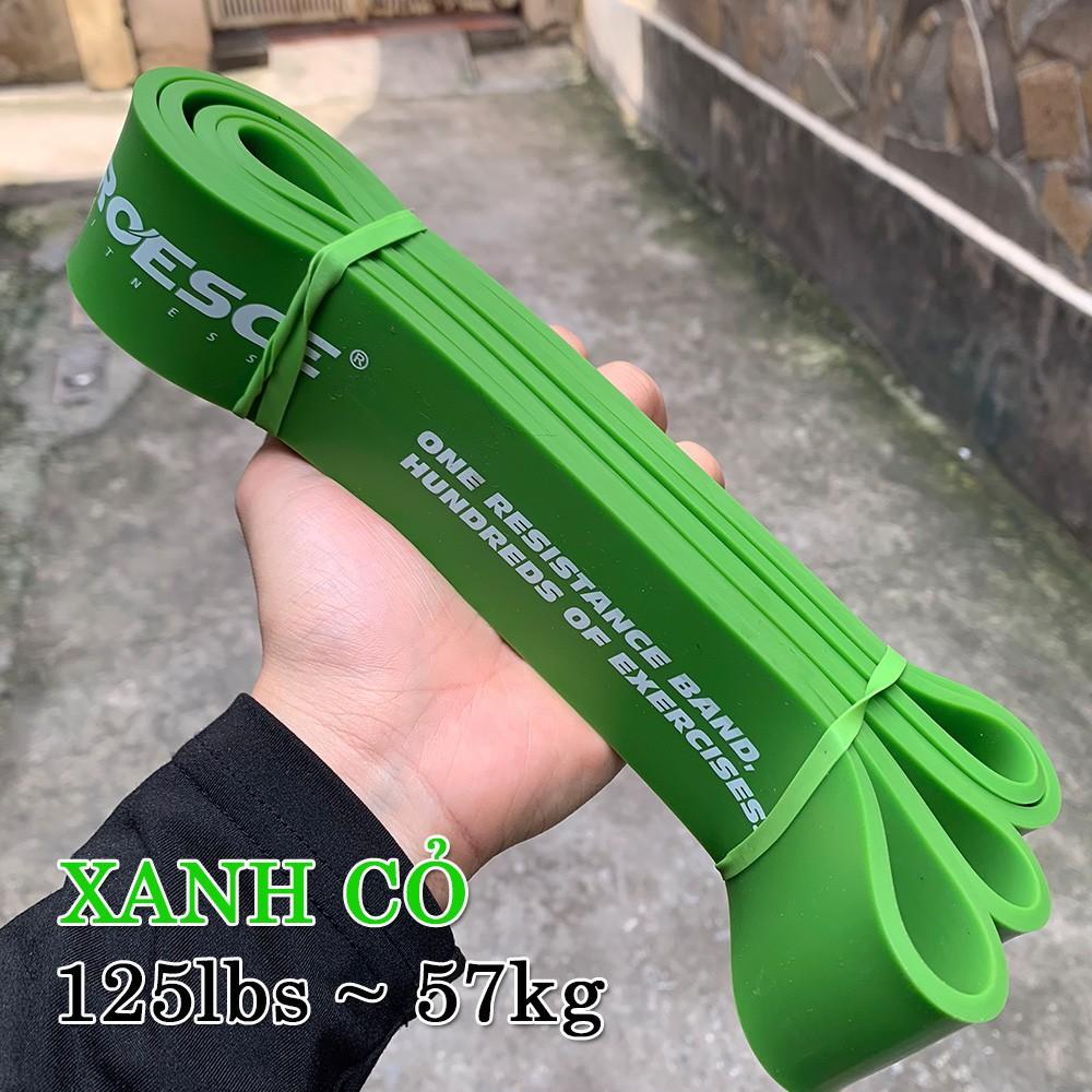 Dây Kháng Lực - dây trợ lực tập gym Powerband Tập Toàn Thân Chính hãng Process Cực bền