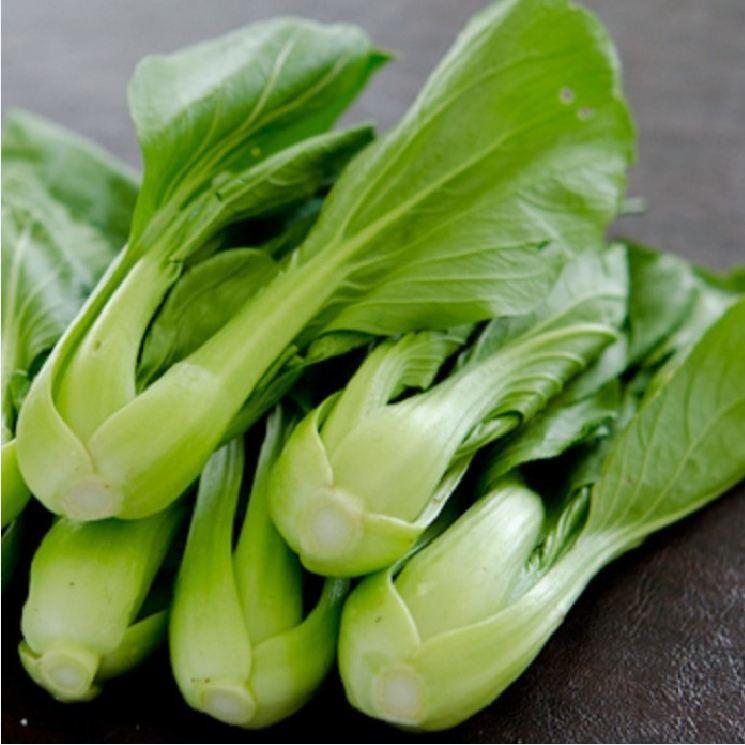 Combo 3 gói Hạt giống rau cải chíp F1