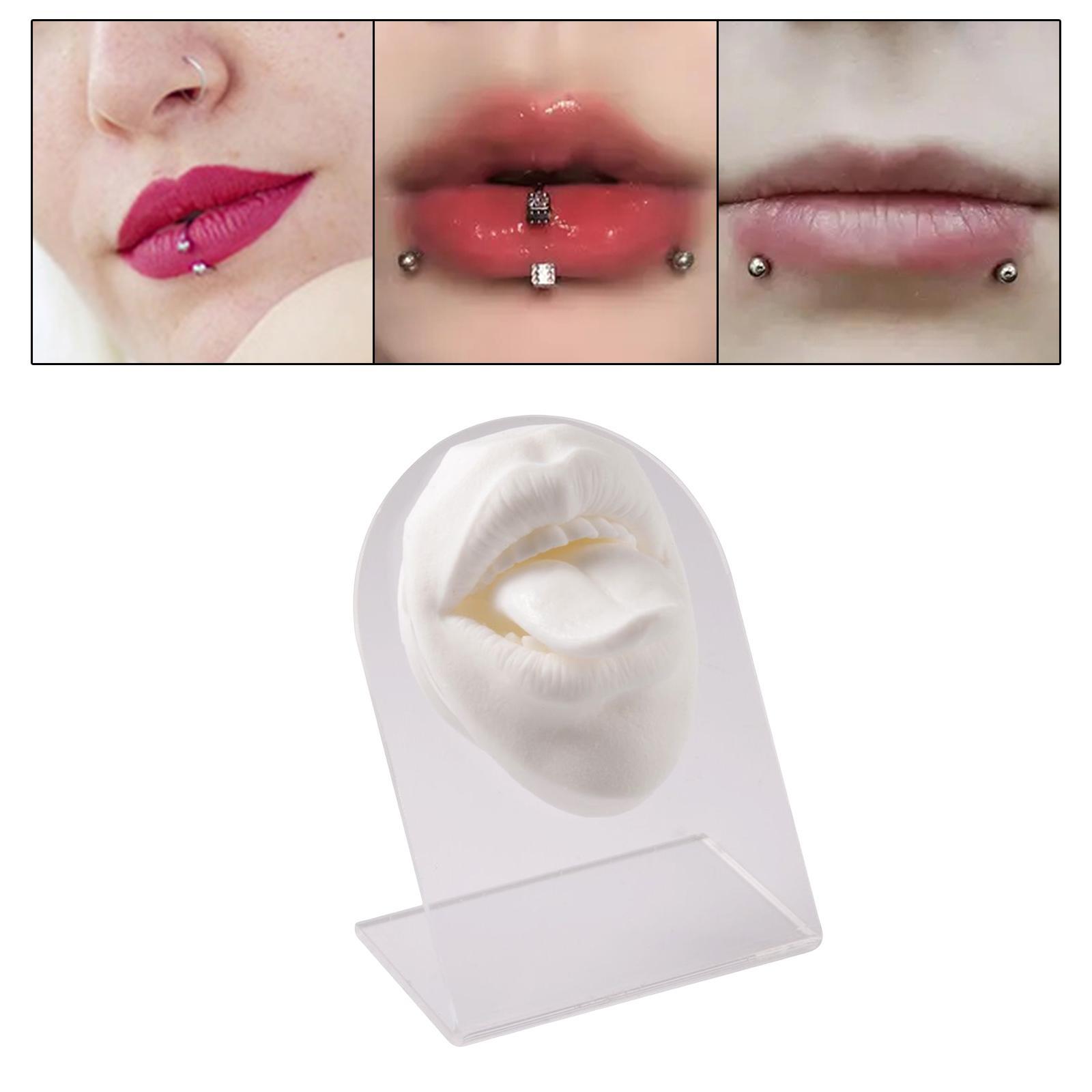 Silicone Mouth tongues Model Flexible Practice Tool Education Display