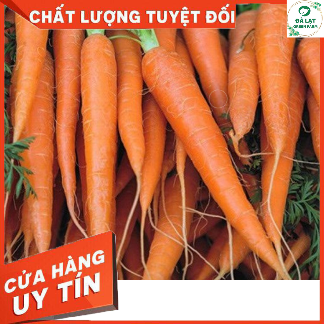 01 Gói Hạt Giống Cà Rốt Nhật F1 - Sinh Trưởng Mạnh