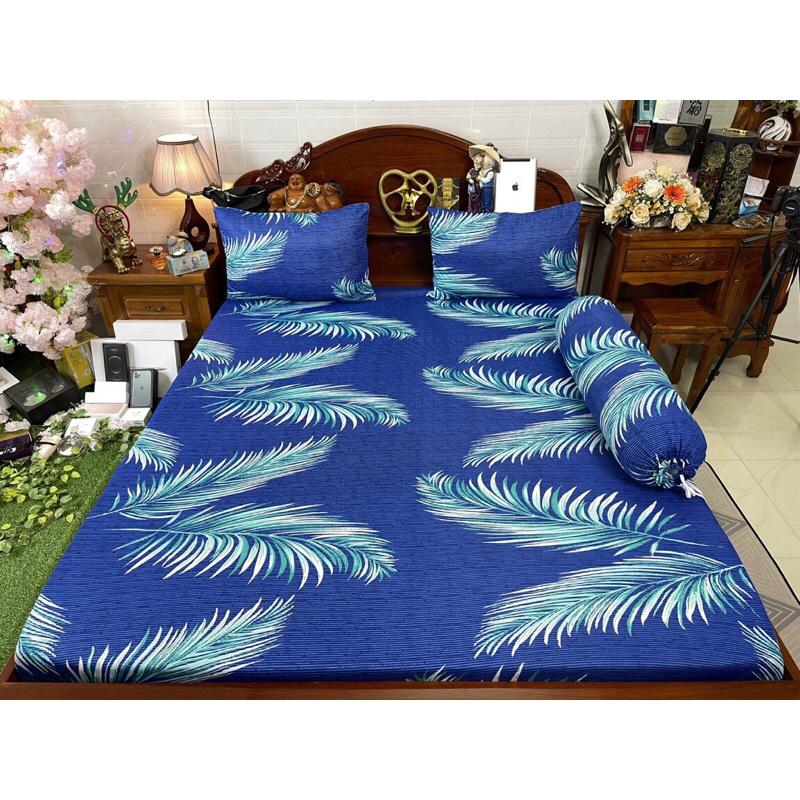 Drap thun hàn quốc