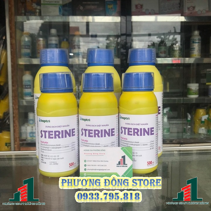 sterine-2-
