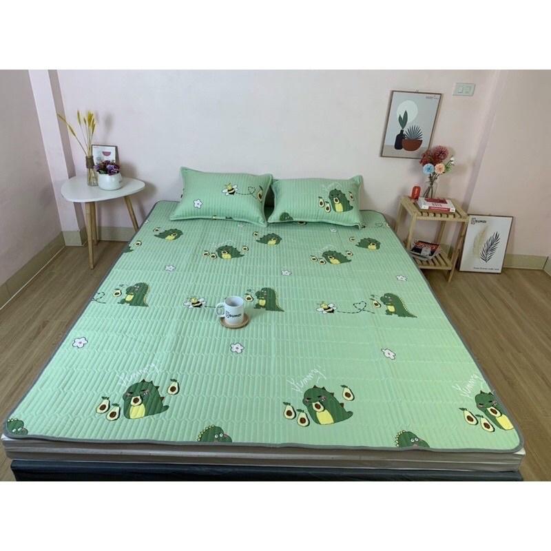 Chiếu Điều Hoà Cotton Đũi Đa Năng Cao Cấp ( Nhiều Hoạ Tiết