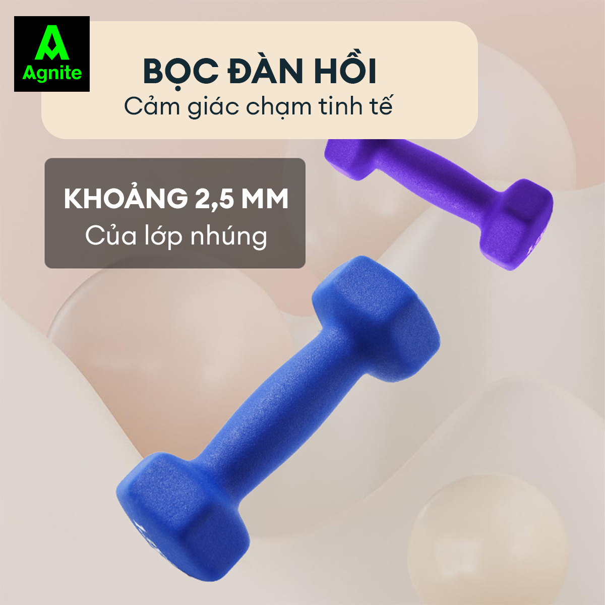 Tạ tay nam nữ nhiều mức chính hãng Agnite - PVC bọc gang siêu bền - dụng cụ hỗ trợ gym, pilates - ER081/ER082/ER083