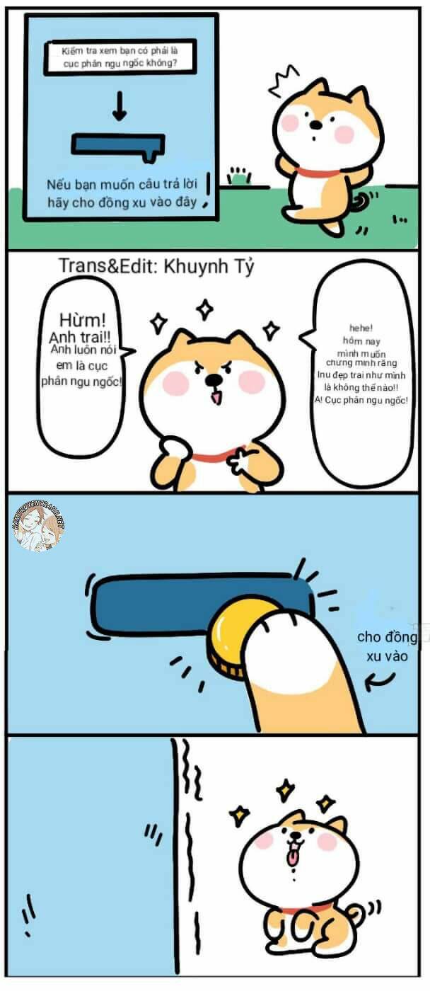 anh em shiba chapter 4 4