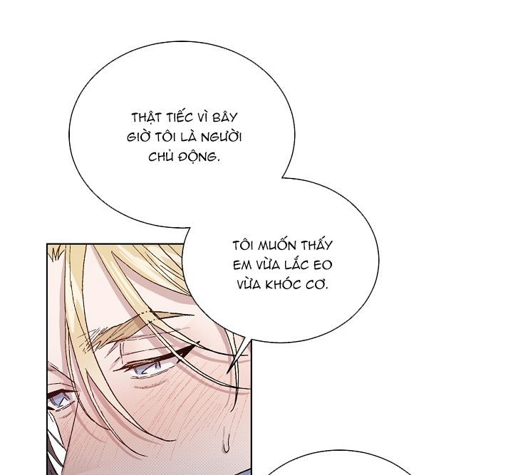 chàng tuấn mã của tôi chapter 31 15