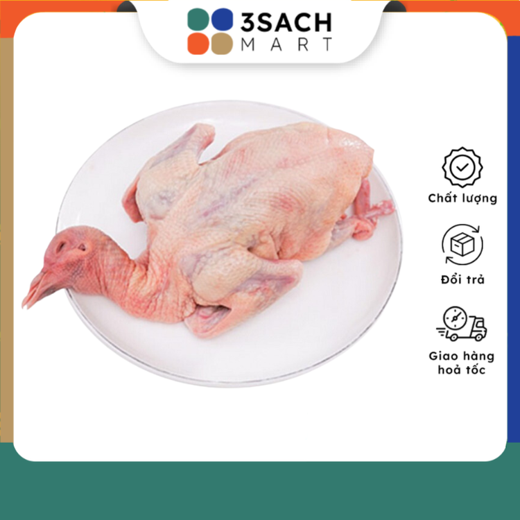 Thịt Bồ Câu Tươi Sống 3S