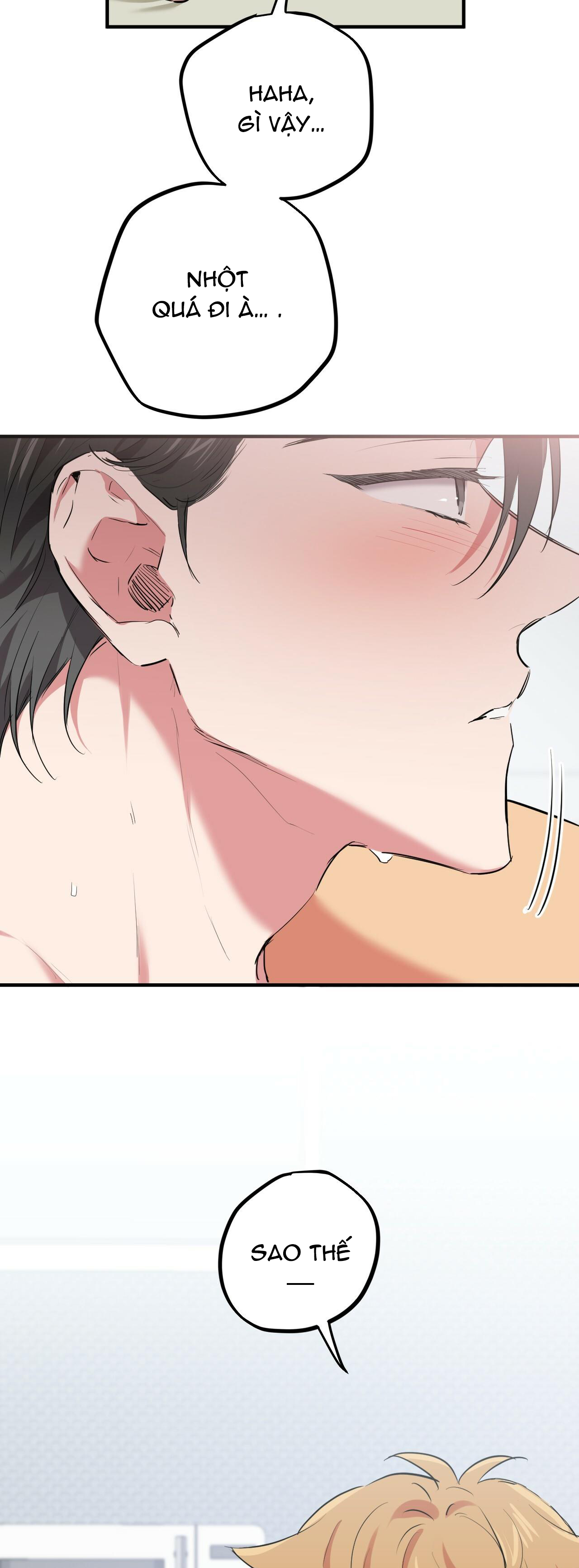 những chú thỏ của hapypy chapter 38 6