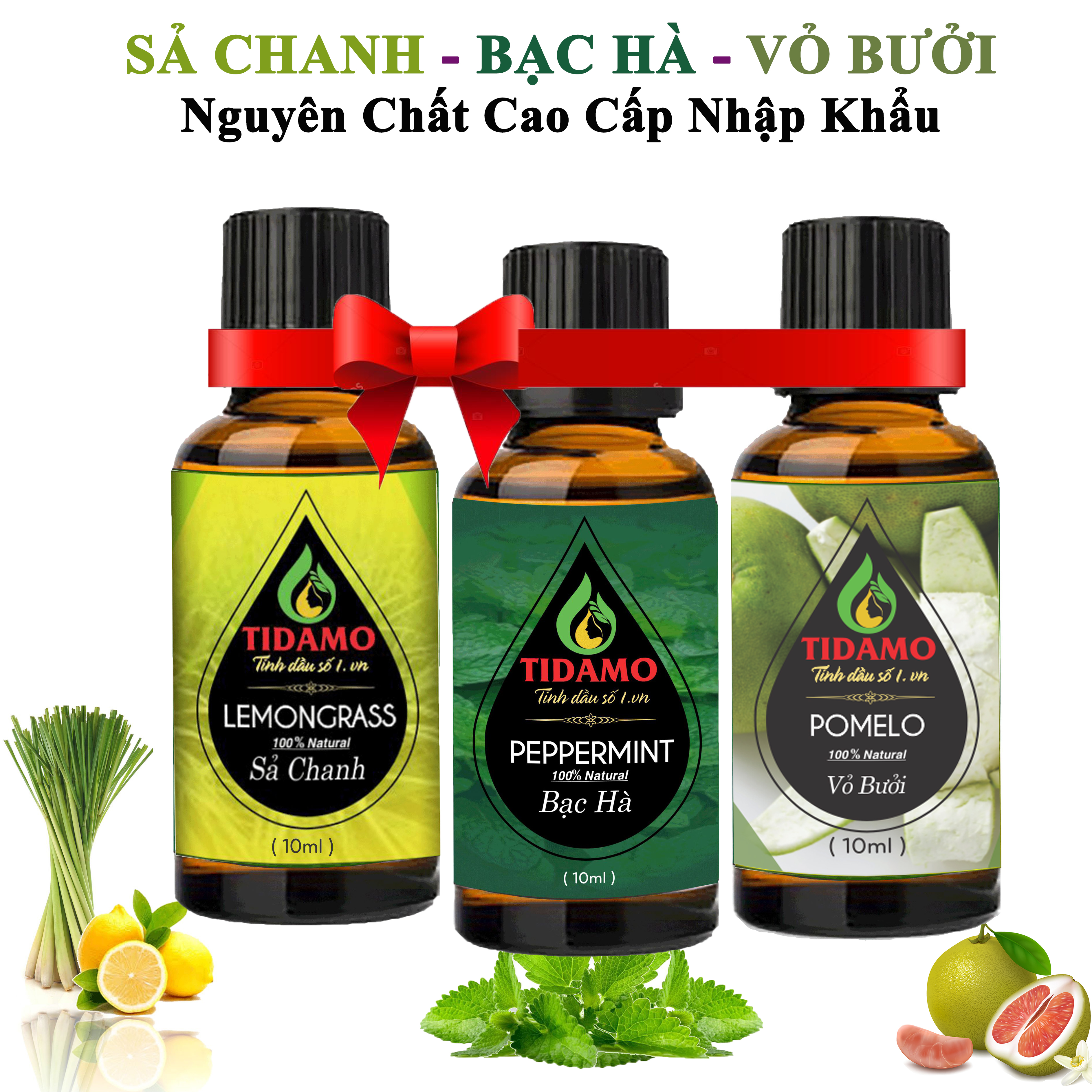 Combo 3 Tinh Dầu Vỏ Bưởi + Tinh Dầu Bạc Hà + Tinh Dầu Sả Chanh Nguyên Chất - Tinh Dầu TIDAMO Cao Cấp Xông Phòng Giúp Thư Giãn, Thơm Phòng Và Nâng Cao Sức Khỏe (3 chai 10ML)