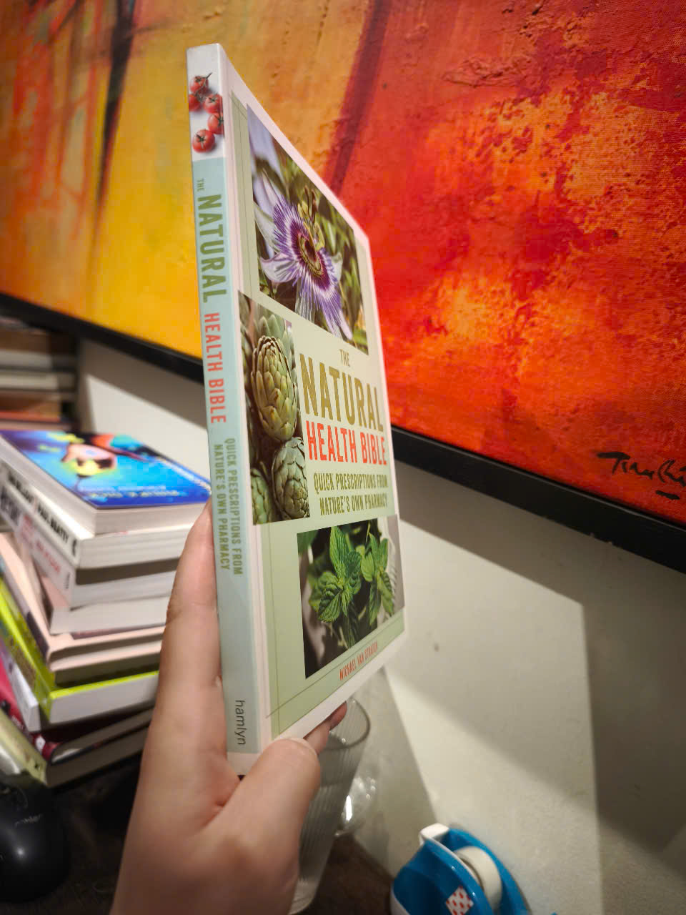 Sách - The Natural Health Bible: Quick Prescriptions From Nature's Own Pharmacy by Michael van Straten