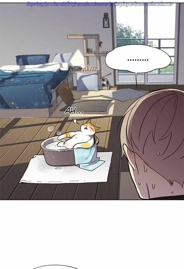biến thân thành mèo chapter 47 28
