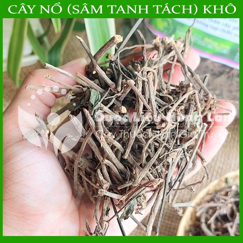 Cây Nổ khô sạch 500gram