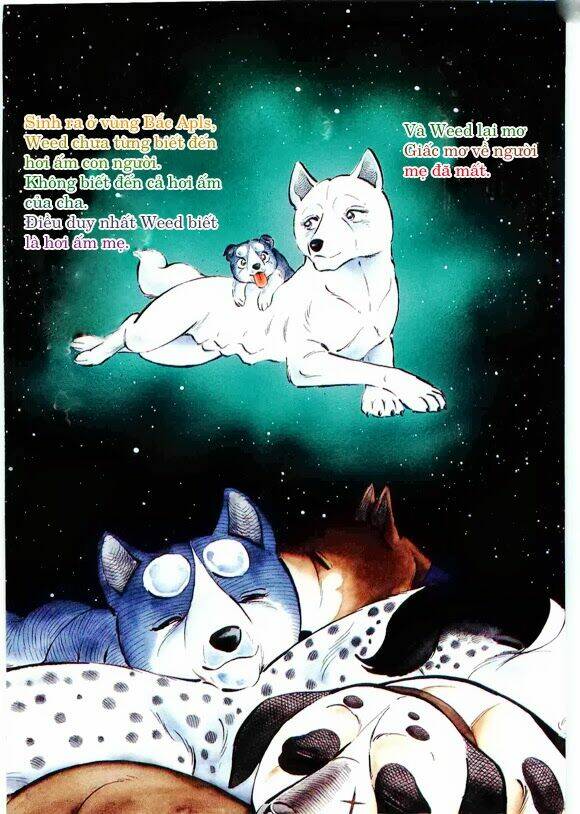 ginga densetsu weed gaiden chapter 1 3