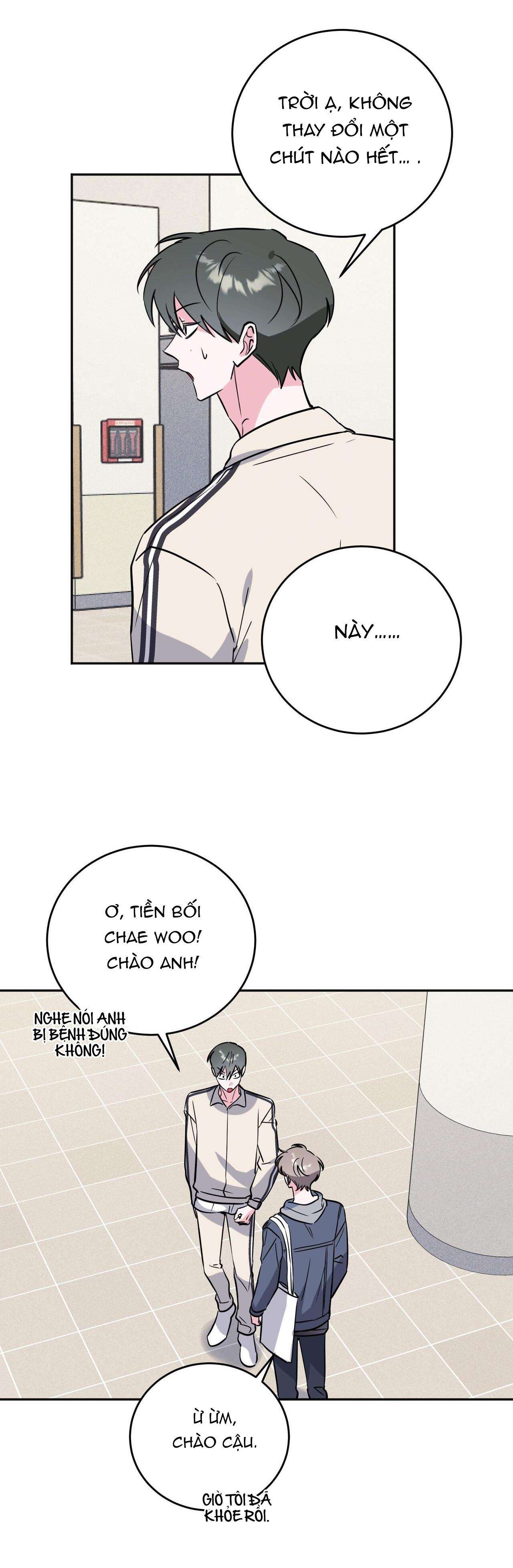 cạm bẫy đại học [m] chapter 80 31