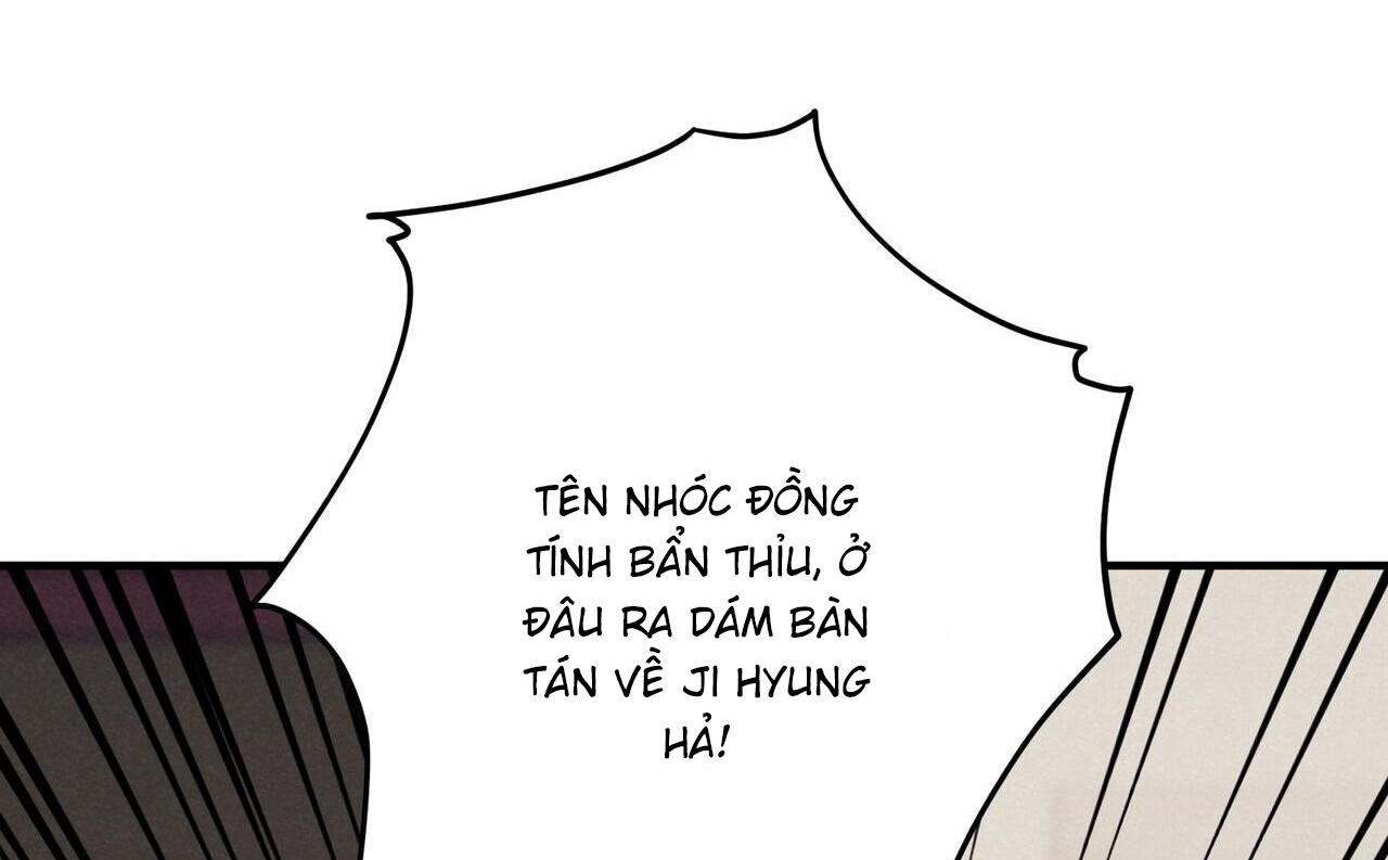 chàng dâu nhà họ kang chapter 37 192