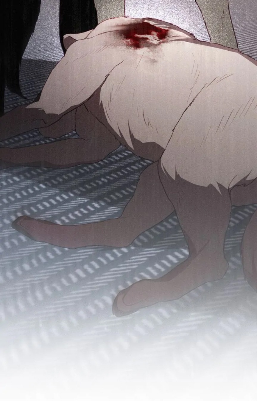 chàng người sói phát điên vì tôi chapter 54 35