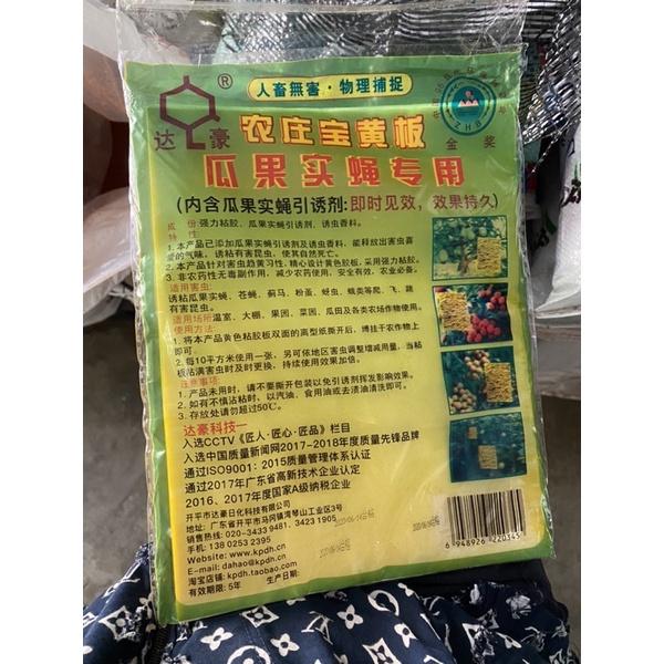 Miếng dính ruồi vàng
