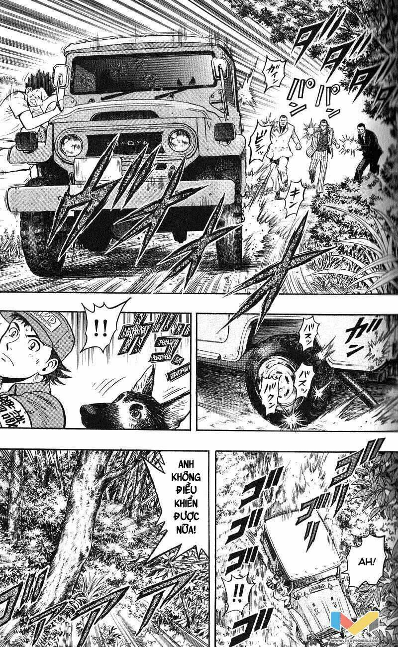 animal sense chapter 12 7