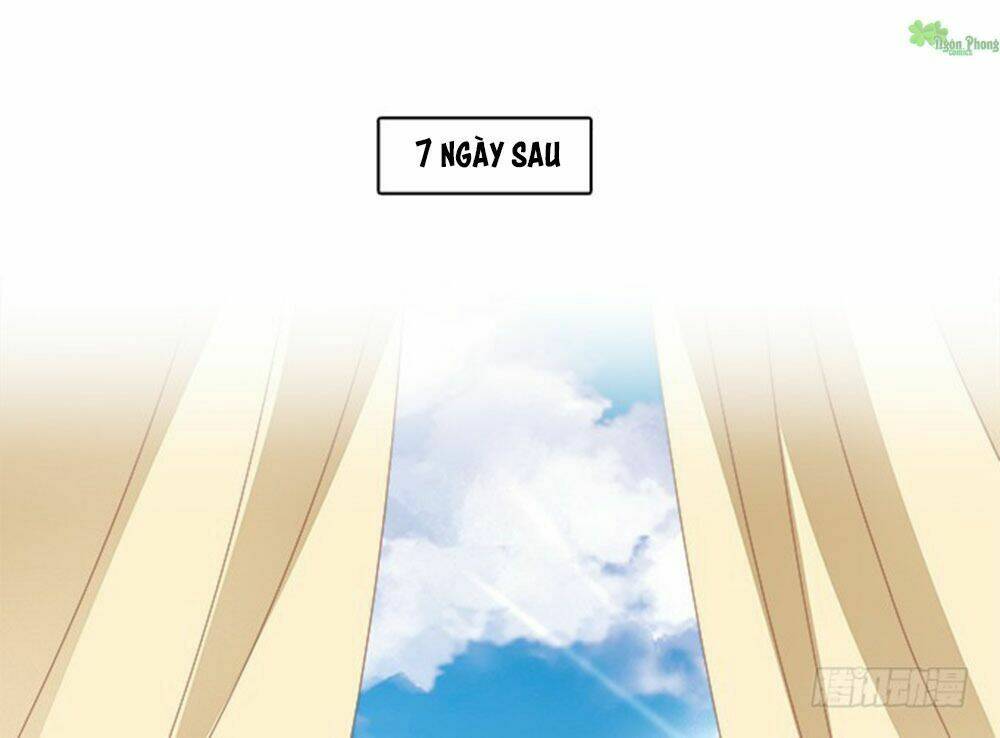 thịnh thế an nhiên chapter 56 20