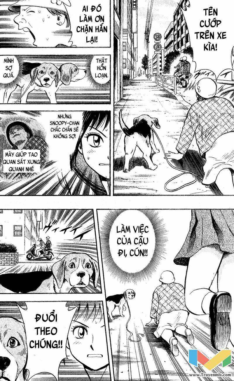 animal sense chapter 1 37