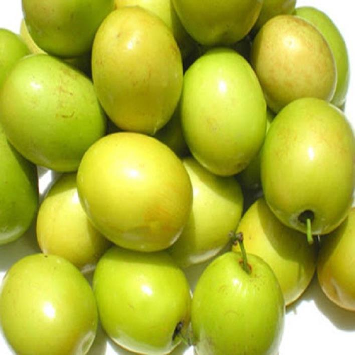 Cây giống Táo Đào Vàng cây giống chuẩn hàng F1 sai quả, năng suất cao