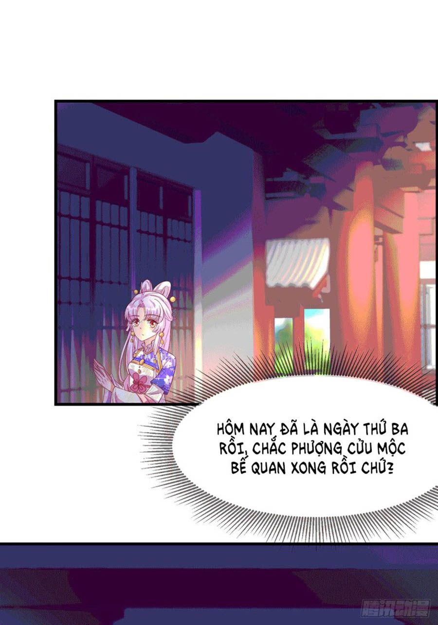 Dưỡng Thú Vi Phi chapter 67 - Trang 11